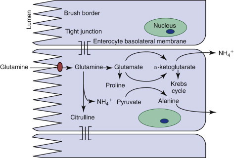 Figure 57-4