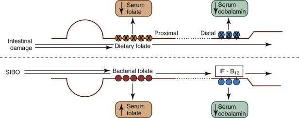 Figure 57-10