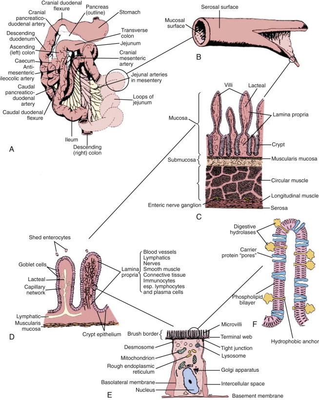 Figure 57-1