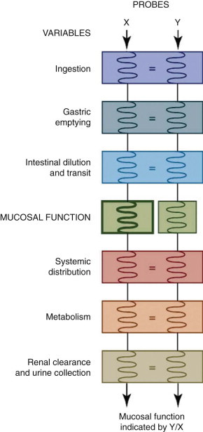 Figure 57-11