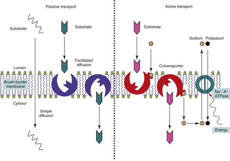 Figure 57-6