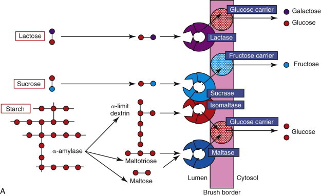 Figure 57-5