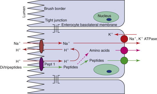 Figure 57-8