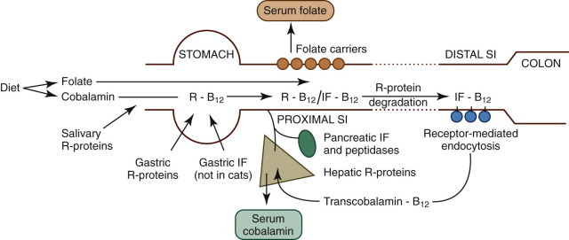 Figure 57-9