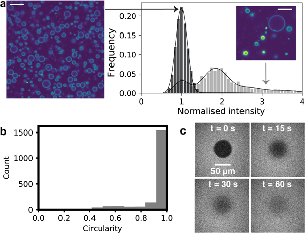 Figure 2: