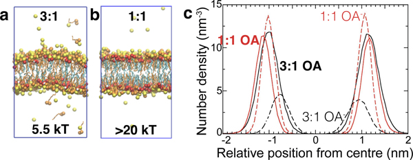 Figure 3: