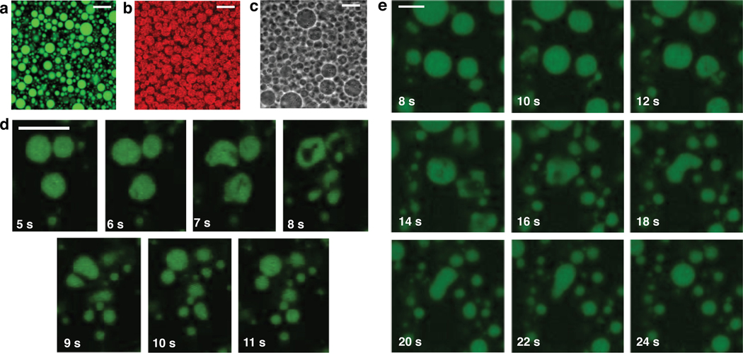 Figure 4: