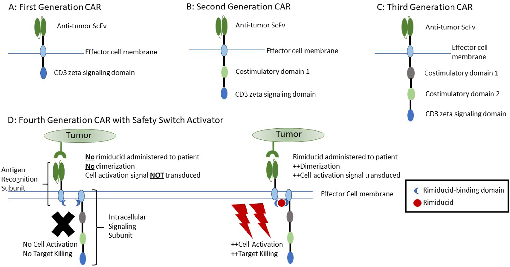 Figure 2: