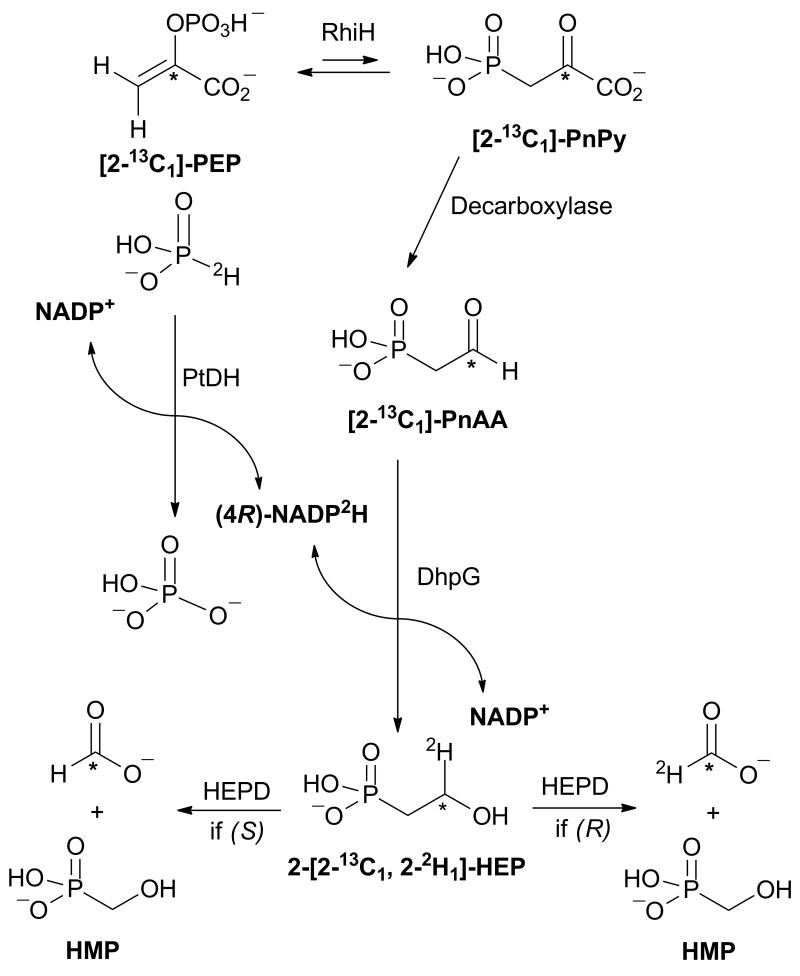 Scheme 2