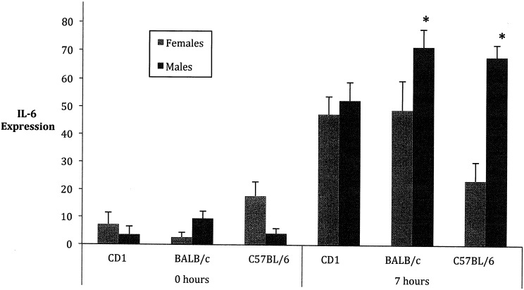 Fig 5