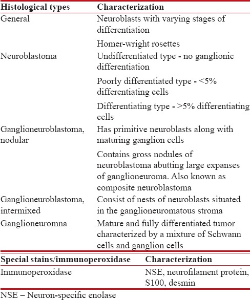 graphic file with name IJMPO-38-349-g003.jpg