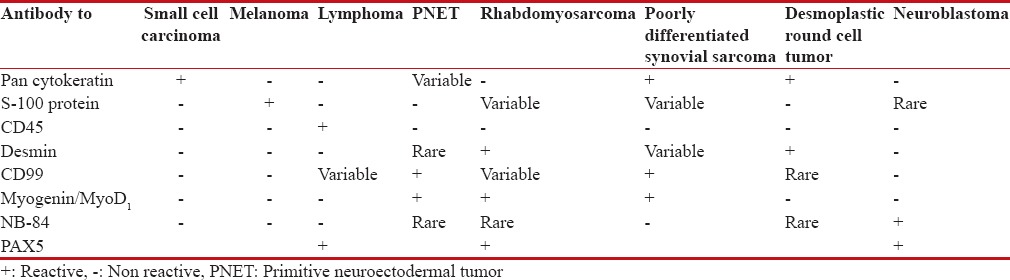 graphic file with name IJMPO-38-349-g006.jpg