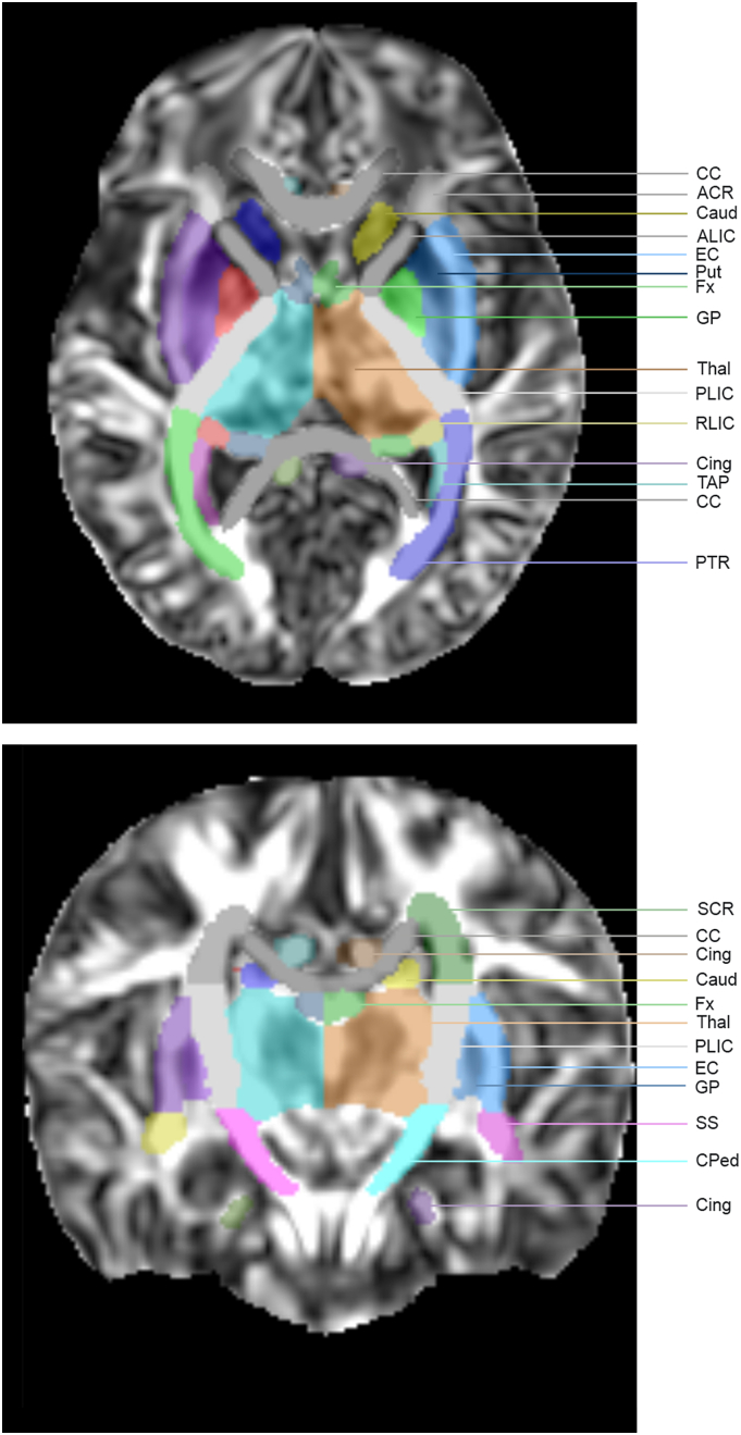 Fig. 1