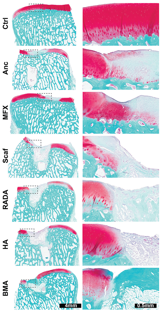 Fig. 6.