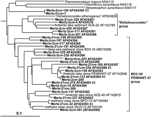 FIG. 10.