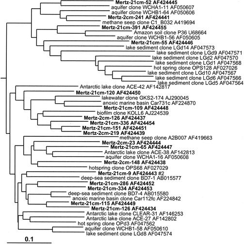 FIG. 11.