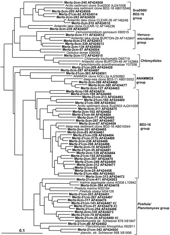 FIG. 8.