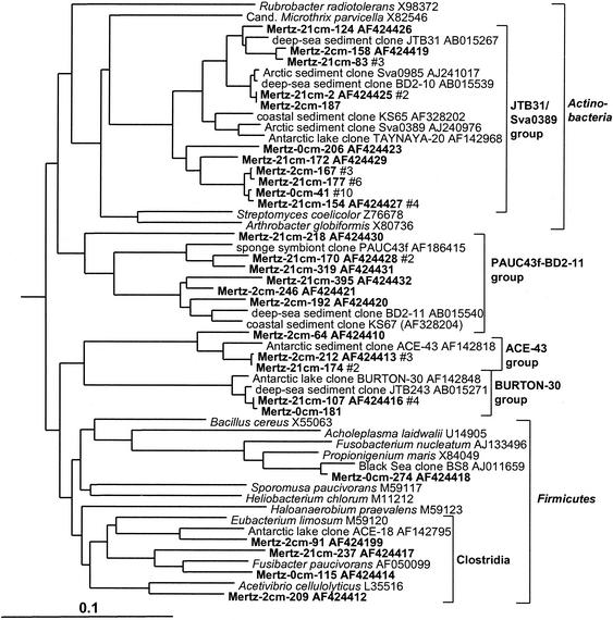 FIG. 9.