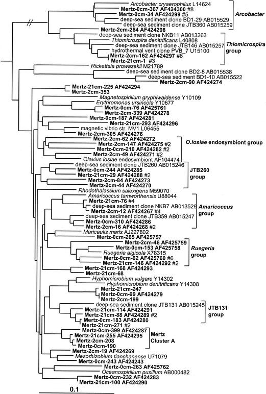 FIG. 5.