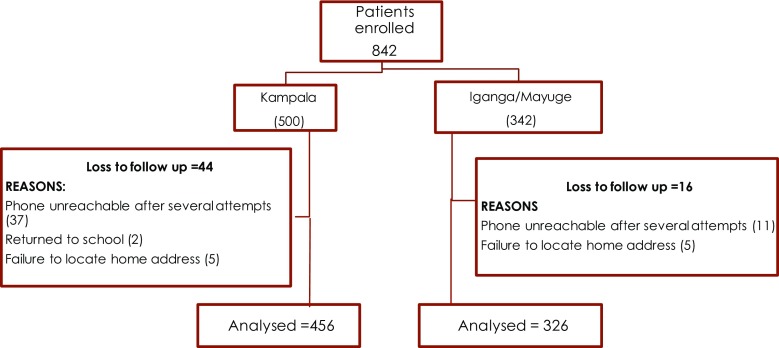 Fig. 1