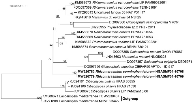 Fig. 159