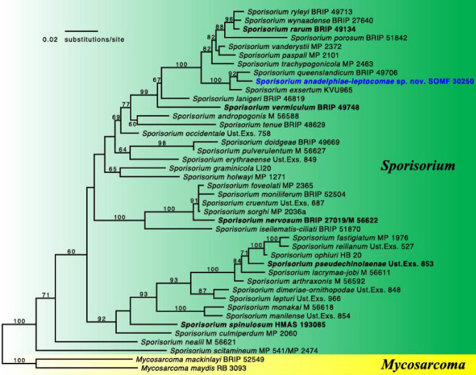 Fig. 186