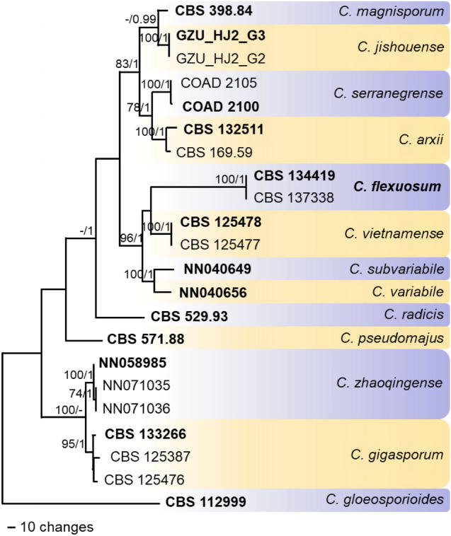 Fig. 89