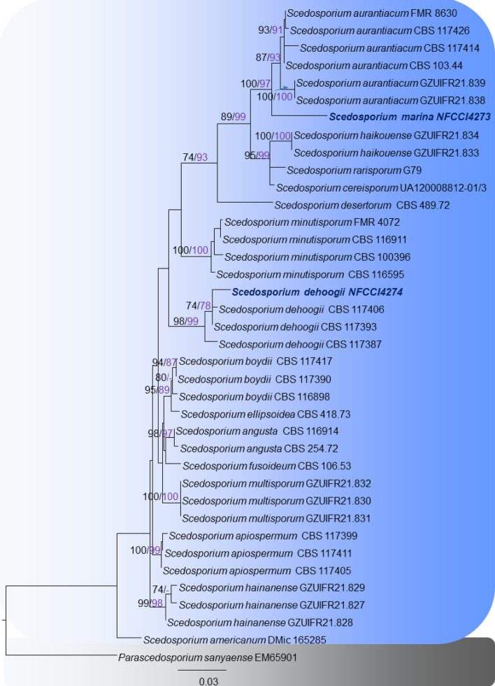 Fig. 104