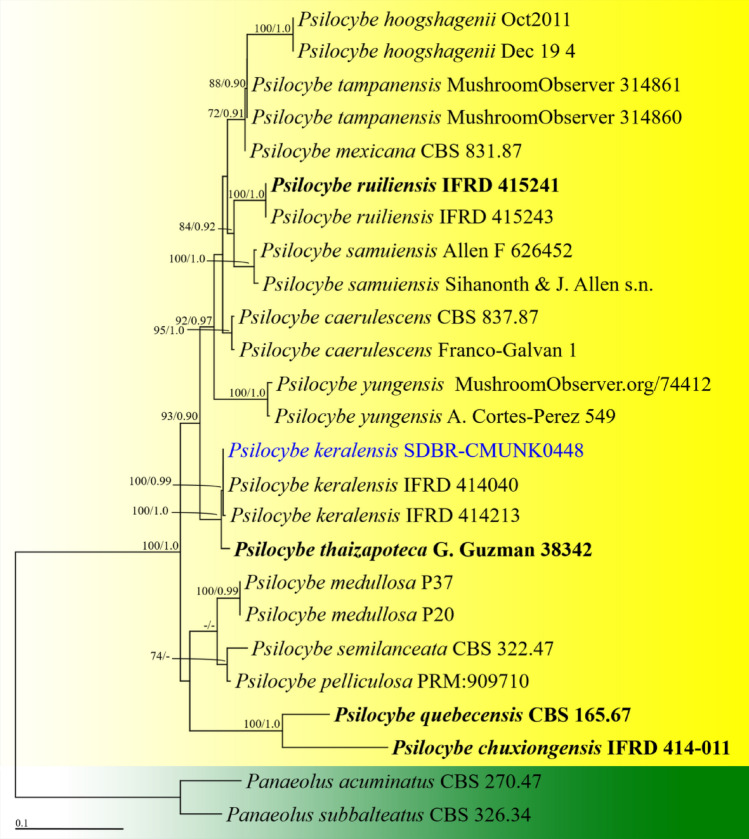 Fig. 153