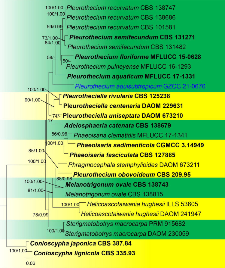 Fig. 116