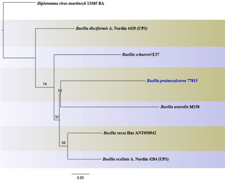 Fig. 67