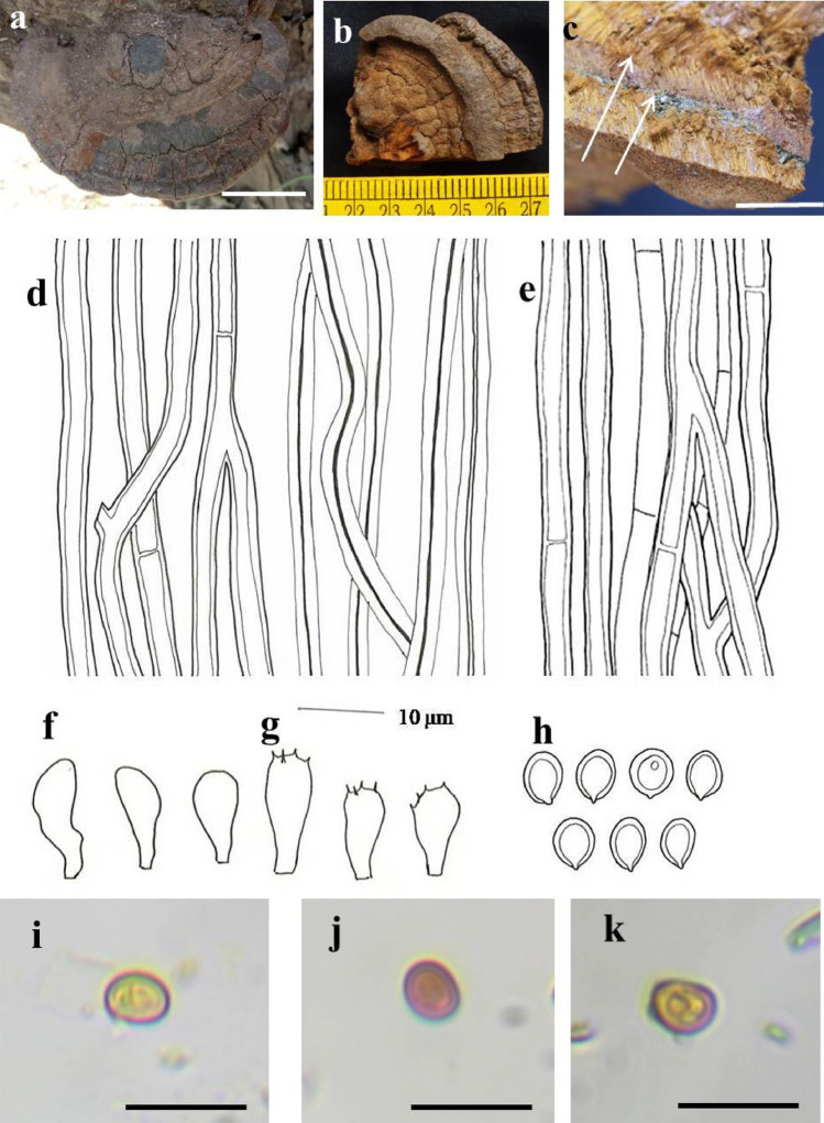 Fig. 148