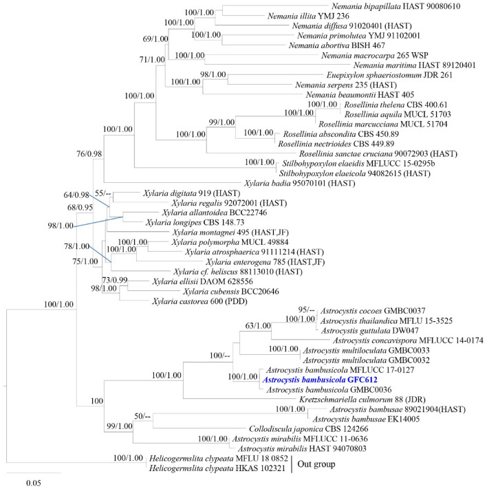 Fig. 129