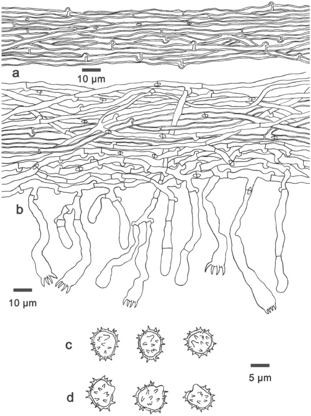 Fig. 176