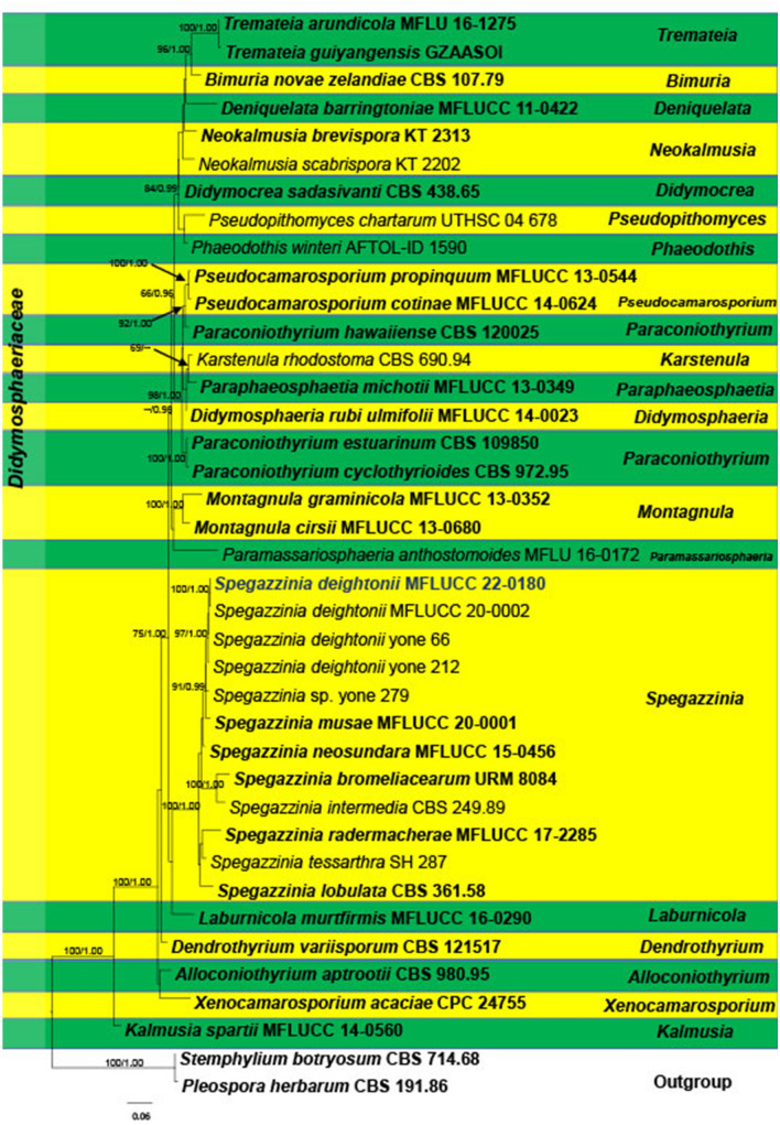 Fig. 22