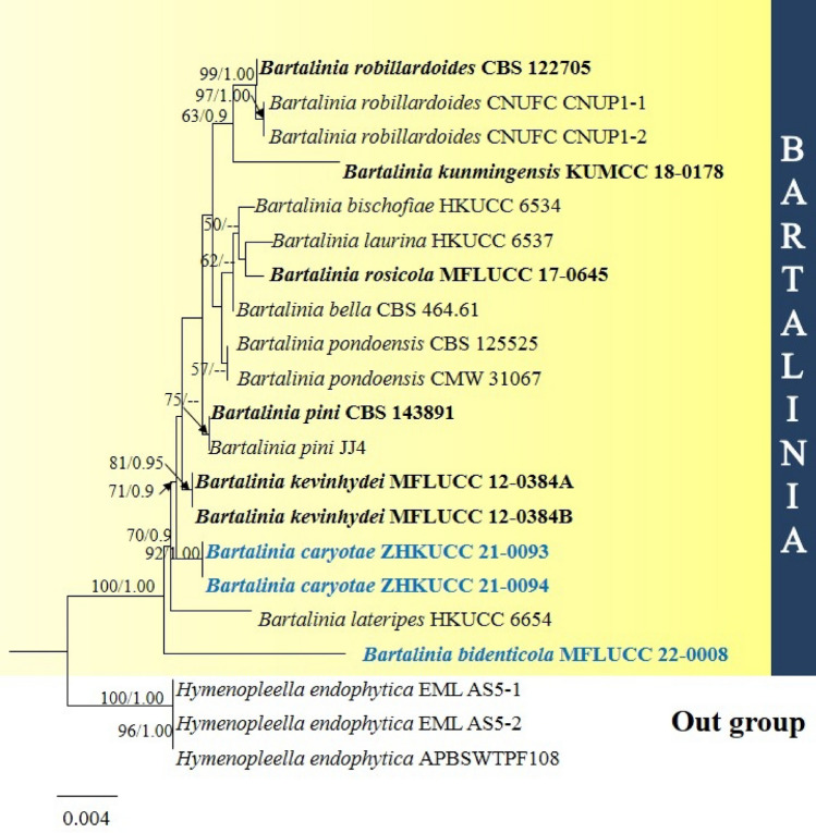 Fig. 118