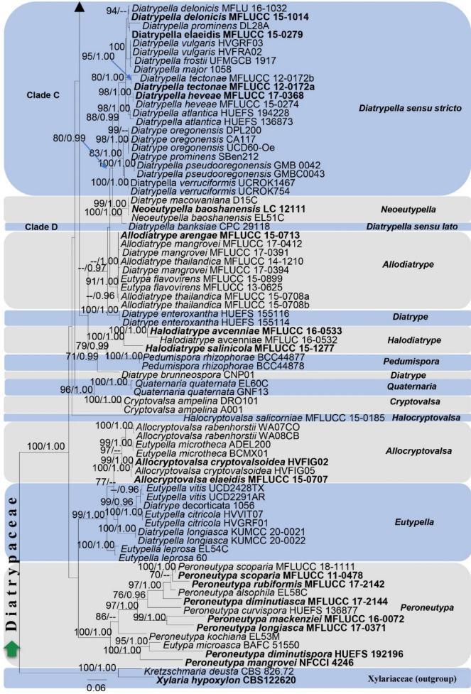 Fig. 125