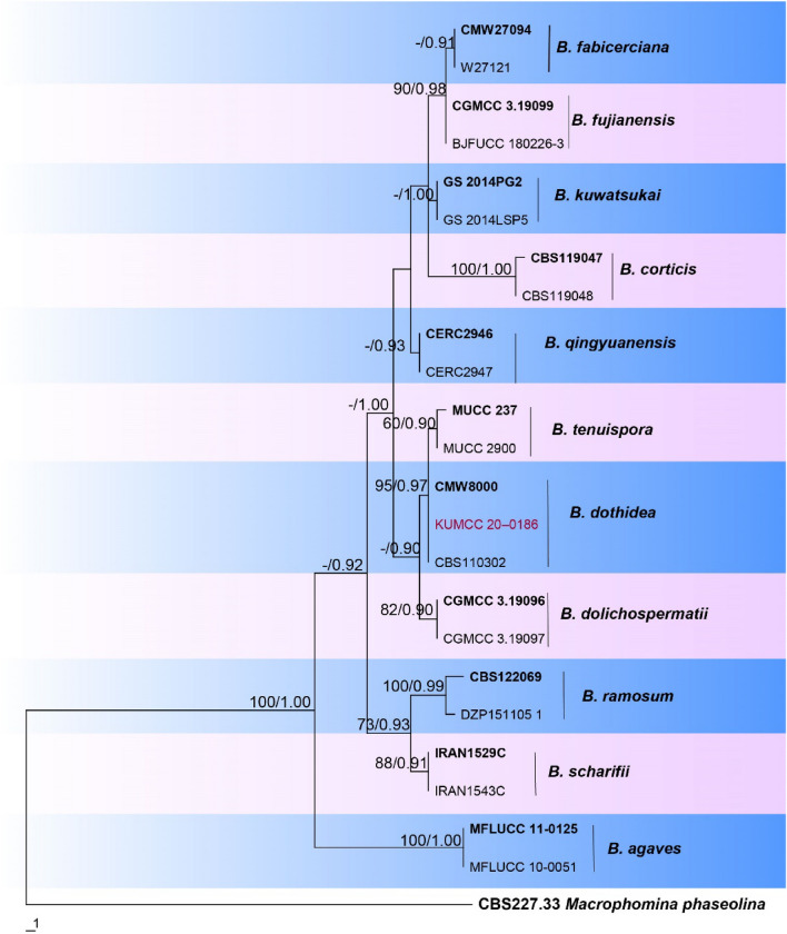 Fig. 61