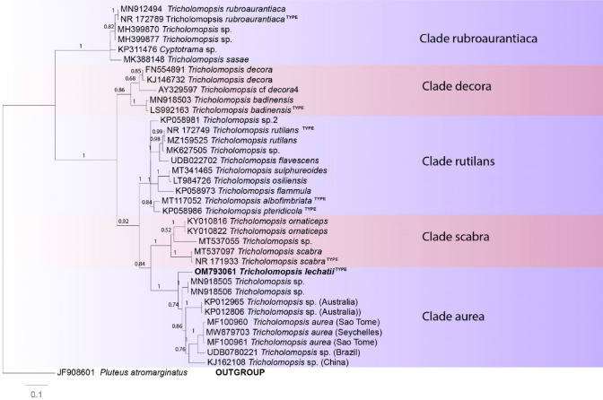 Fig. 184