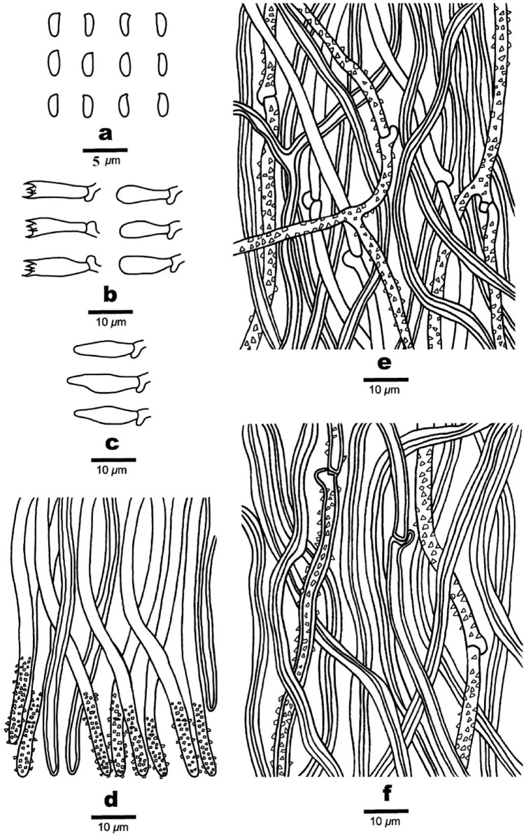 Fig. 163