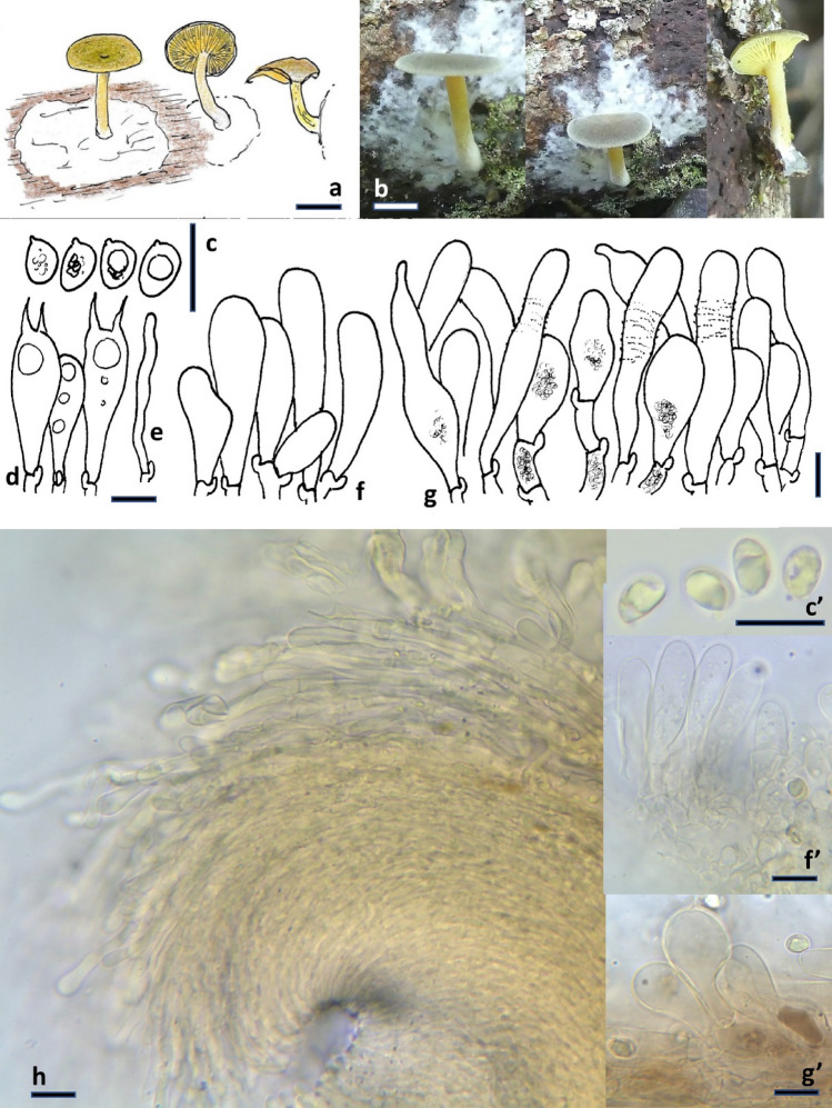 Fig. 183