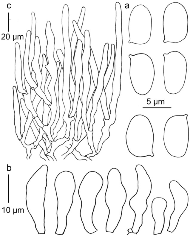 Fig. 142