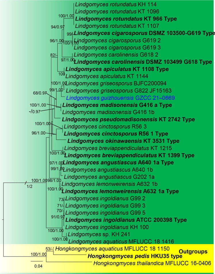 Fig. 26