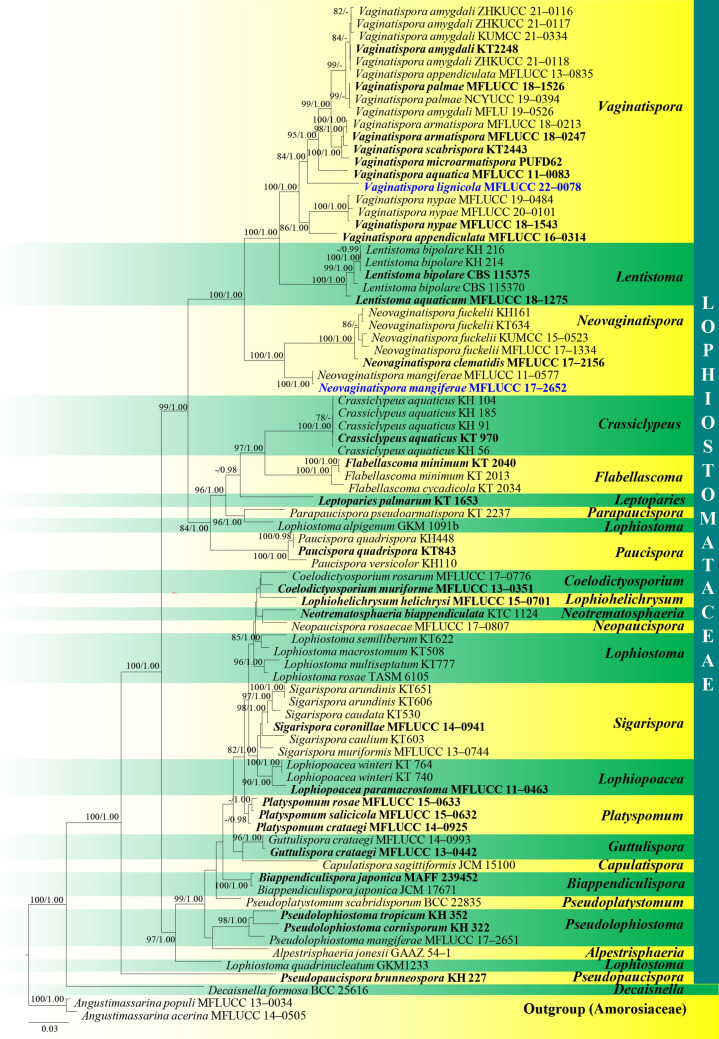 Fig. 28