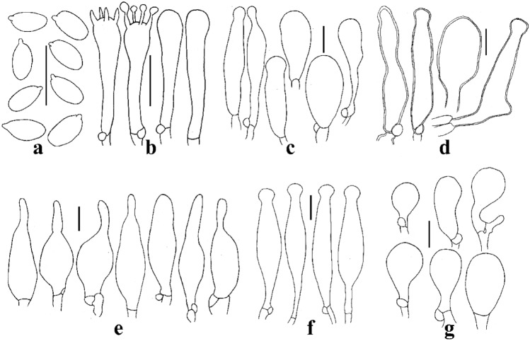 Fig. 158