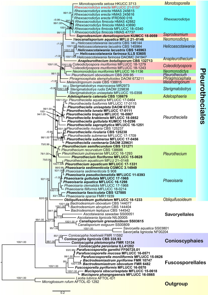 Fig. 112