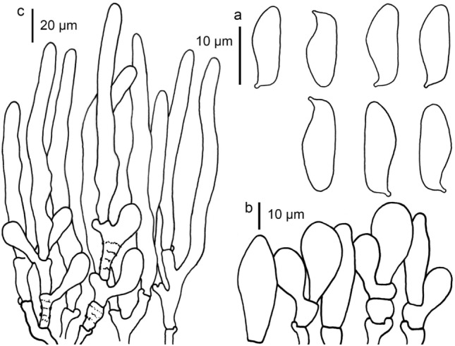 Fig. 135