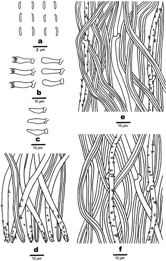 Fig. 165