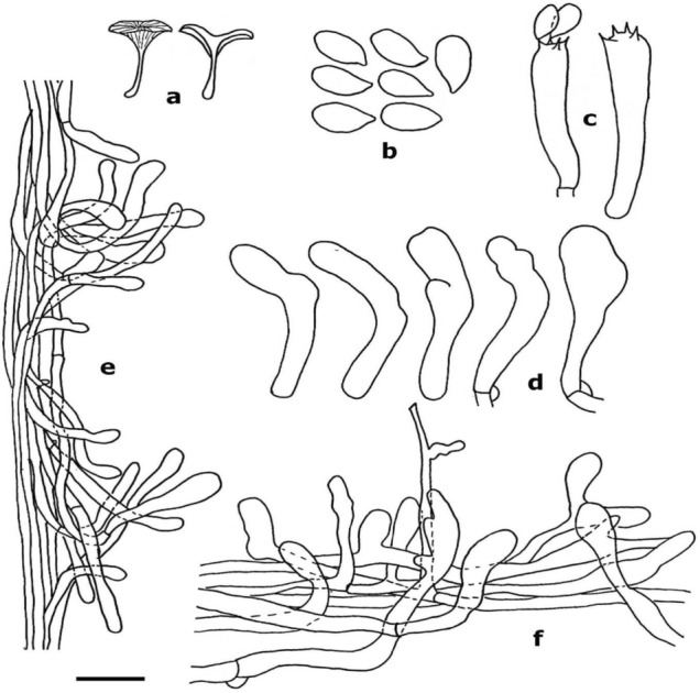 Fig. 181