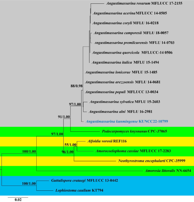 Fig. 11